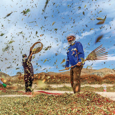 نمایش ۳۴۸ عکس برتر سال در نیاوران