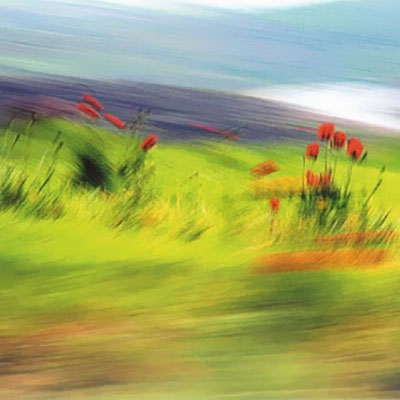 افتتاح گالری آبان با نمایشگاه عکس‌«رنگ... غزل... باران»